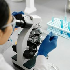 Farmacocinética